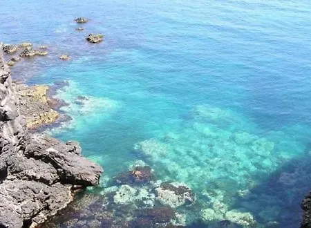 Ninfea Aci Castello